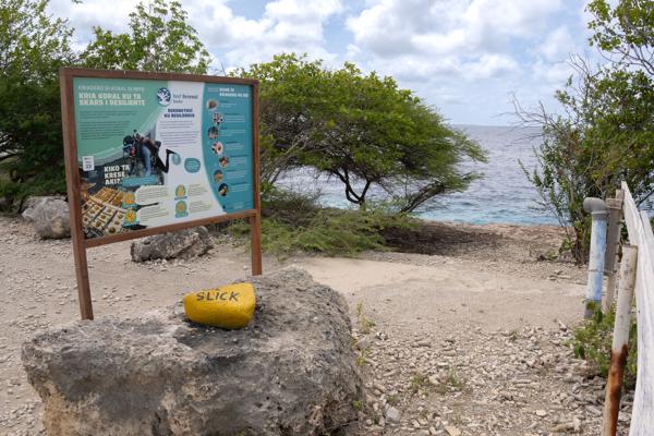 Reef Renewal is op het Eiland erg bekend. Op verschillende borden kan je informatie vinden over Reef Renewal.