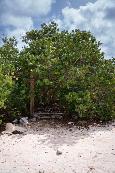 De Exit/Entry op Andrea II is erg toegankelijk.