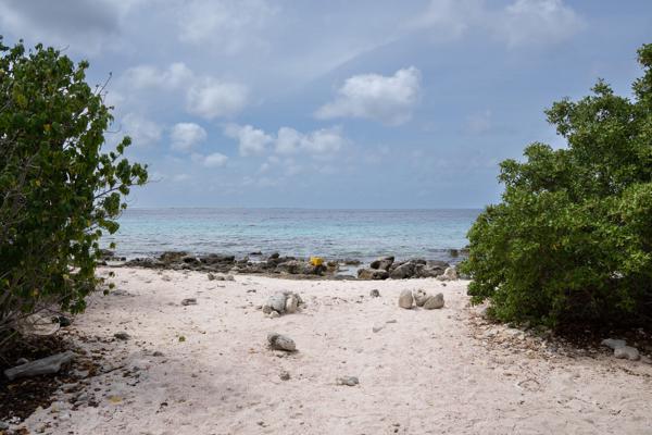 De Exit/Entry op Andrea II is erg toegankelijk.