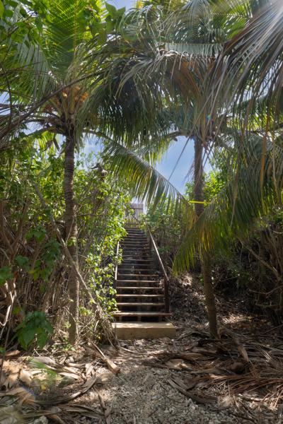 Nadat je geparkeerd hebt loop je door de bosjes richting de exit/entry point. Dit is ongeveer 50 meter lopen.