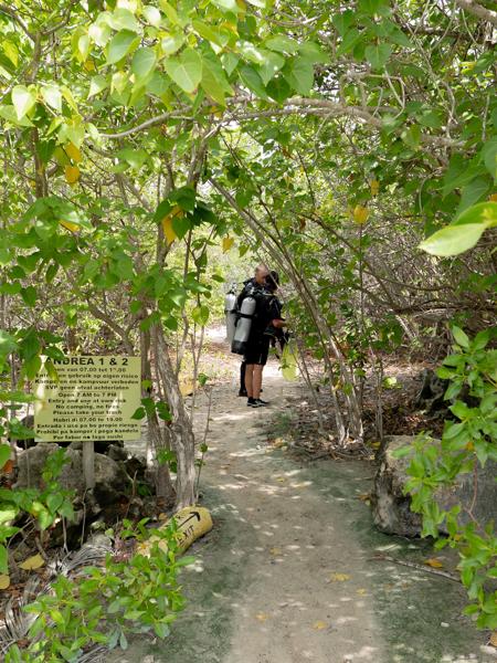 Nadat je geparkeerd hebt loop je door de bosjes richting de exit/entry point. Dit is ongeveer 50 meter lopen.