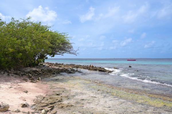 Exit/Entry point bij Andrea I is goed, enkele onevenheden in de bodem dus zet kleine stapjes en doe voorzichtig. Vergeet niet een klein beetje lucht in je BCD te doen.