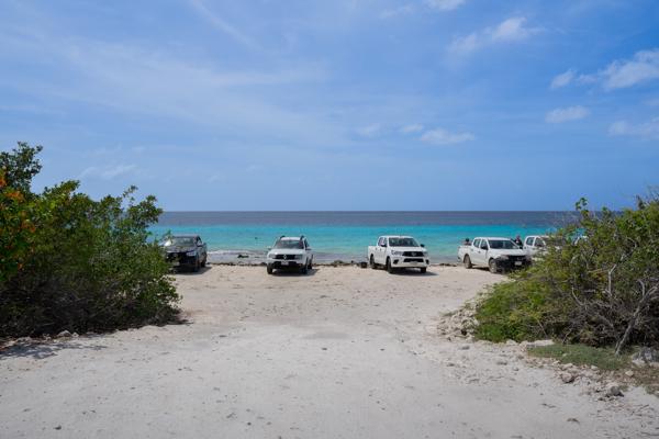 De ingang tussen de twee struiken richting de parkeerplaats is breed, let toch goed op dat je andere autos de ruimte geeft om wellicht de duikstek te verlaten.