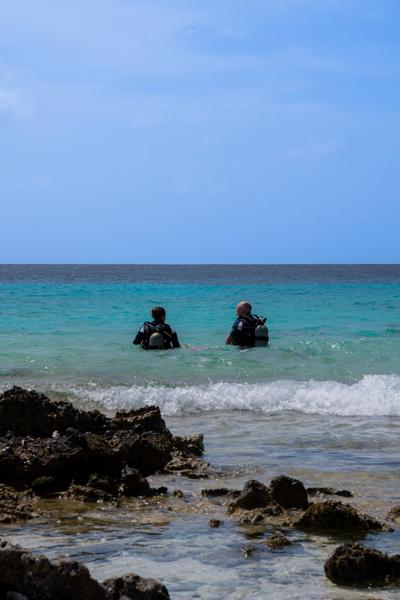 Twee duikers besluiten het avontuur bij The Lake te ontdekken, wat zullen ze tegen komen?