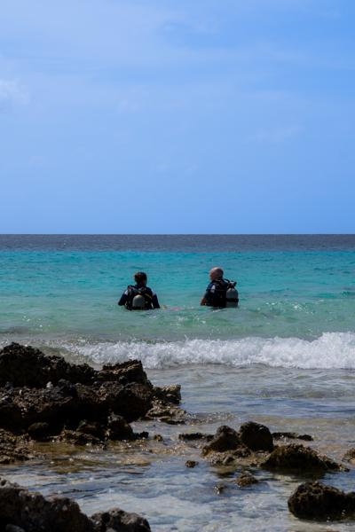 Twee duikers besluiten het avontuur bij The Lake te ontdekken, wat zullen ze tegen komen?