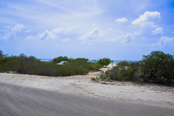 Tussen de twee struiken door vindt je de ingang tot Angle City.