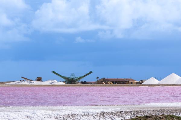 In de zoutpannen van Bonaire ligt het zout vaak opvallend roze van kleur. Die bijzondere tint ontstaat door een combinatie van mineralen en micro-organismen, zoals de algen Dunaliella salina, die het water roodachtig kleuren naarmate het zoutgehalte stijgt. Hoe verder het water verdampt, hoe intenser de kleur van het zout wordt.