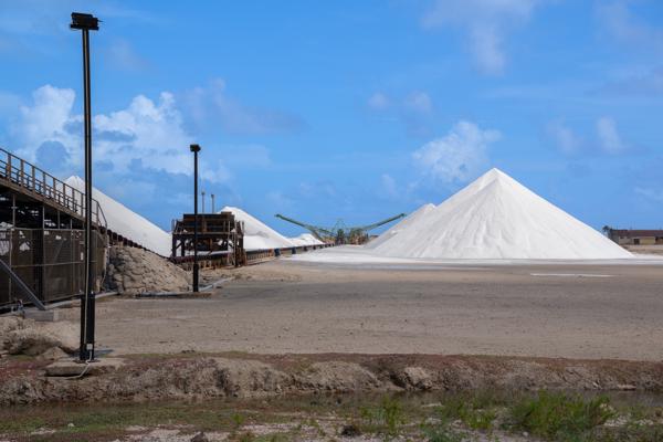Wanneer het zout klaar is om te worden verwerkt, wordt het met grote machines en transportbanden van de pannen naar de bergen gebracht. Graafmachines en lopende banden scheppen het zout op en stapelen het op in indrukwekkende witte hopen, die vanaf de Salt Pier goed zichtbaar zijn. Zo ontstaat een indrukwekkend beeld; felroze zout in de pannen, witte bergen erachter, en tussen die bergen de groene machines die het zout naar de pier brengen, klaar om de wereld over te reizen.