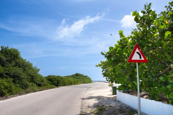 Achter de bosjes verschijnen de slavenhuisjes, houdt er rekening mee dat je er niet tussen in parkeerd. Probeer aan het einde te parkeren om dichtbij je exit/entry point te parkeren. Ook toon je hiermee respect en behoudt je voor de mede touristen de mogelijkheid om mooie fotos te maken.