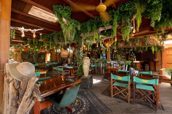 The Jungle Bonaire features a striking tropical jungle theme that immediately captures attention.